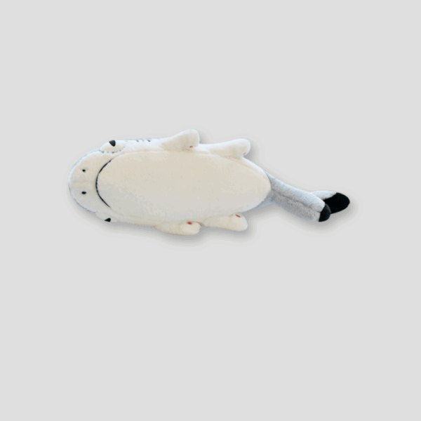 Sharkitty Plush